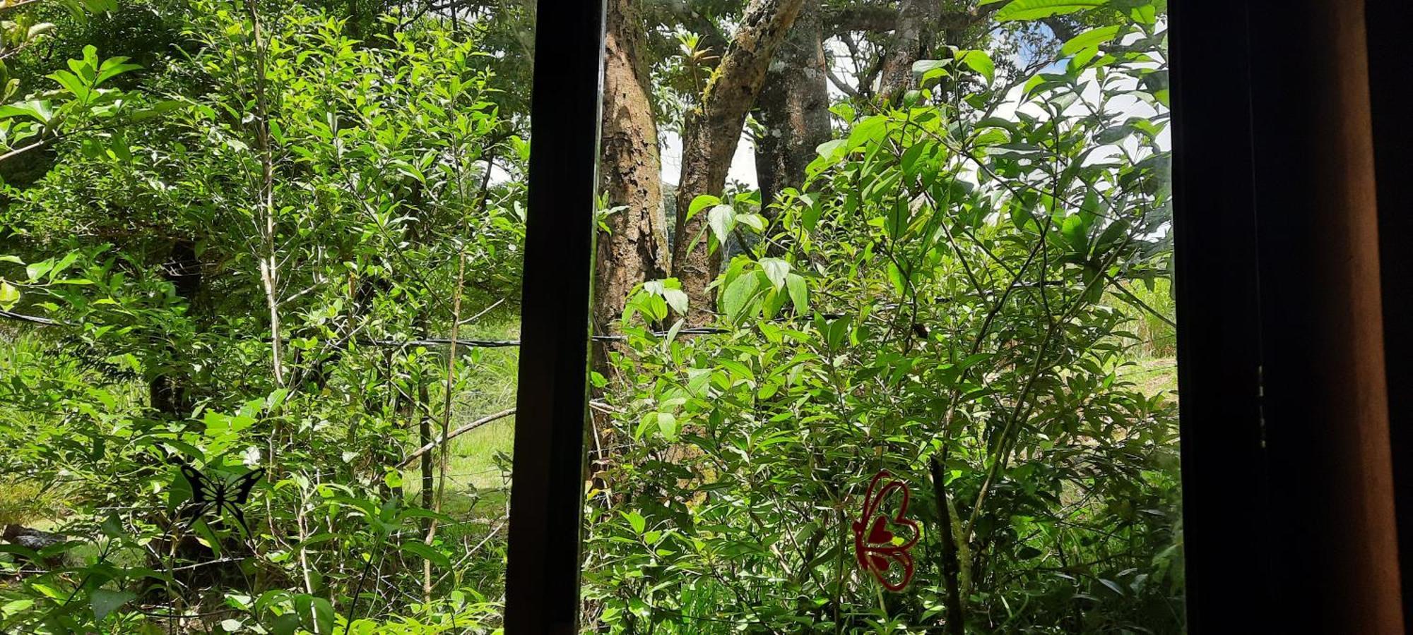 Monteverde Romantic Cottage Habitación foto