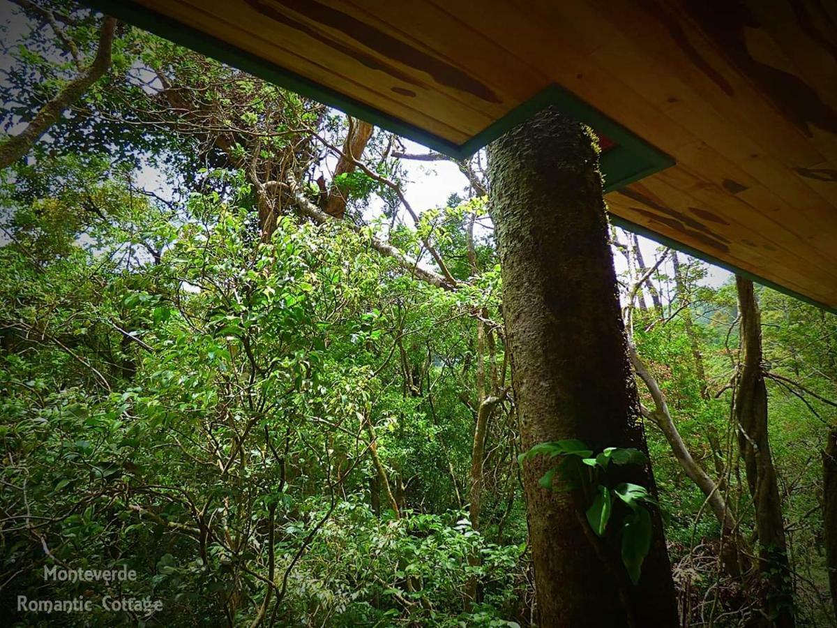 Monteverde Romantic Cottage Exterior foto